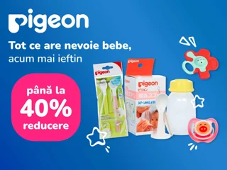 Pigeon foto