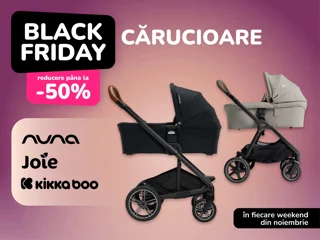 BF Cărucioare foto