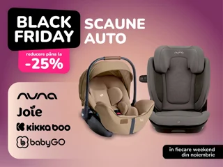 BF Scaune auto foto