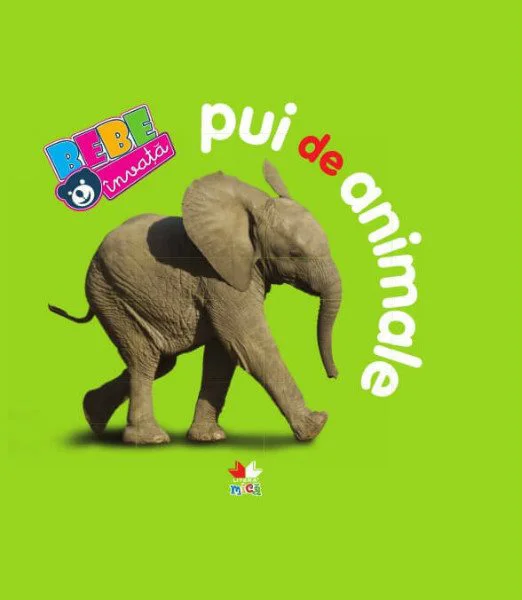 Bebe invata - Pui de animale foto