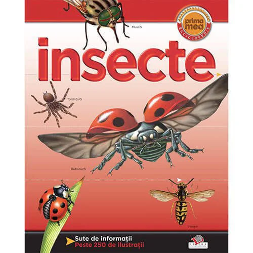 Prima mea enciclopedie - insecte foto