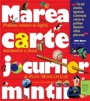 Marea carte a jocurilor mintii (matematica si fizica) foto