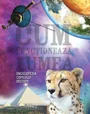 Cum functioneaza lumea foto