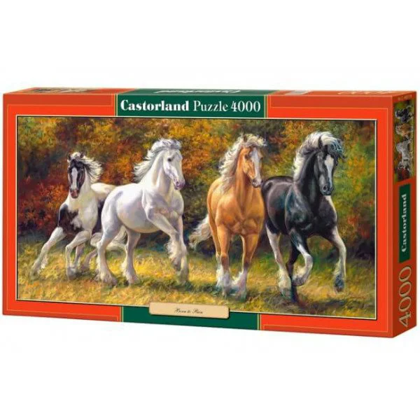 Puzzle Castorland Born to Run, 4000 piese foto