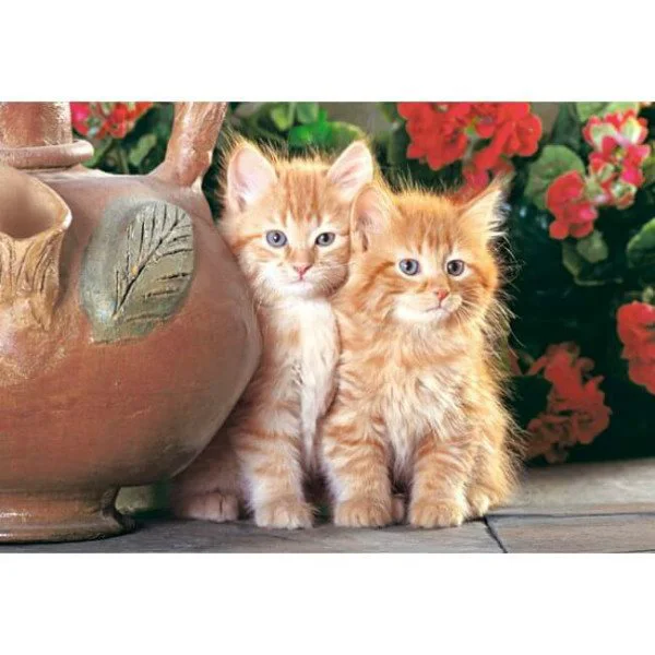 Puzzle Castorland Red Kittens, 1500 piese foto