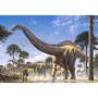 Puzzle Castorland Supersaurus, 1000 piese foto
