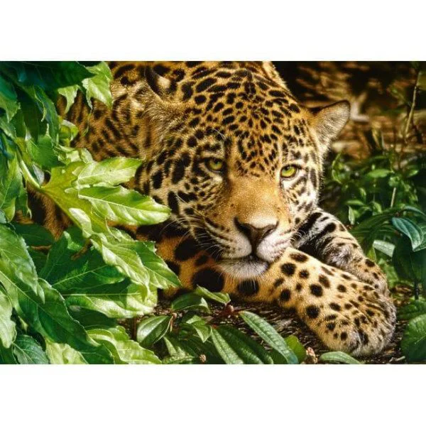 Puzzle Castorland At Rest, 1000 piese foto