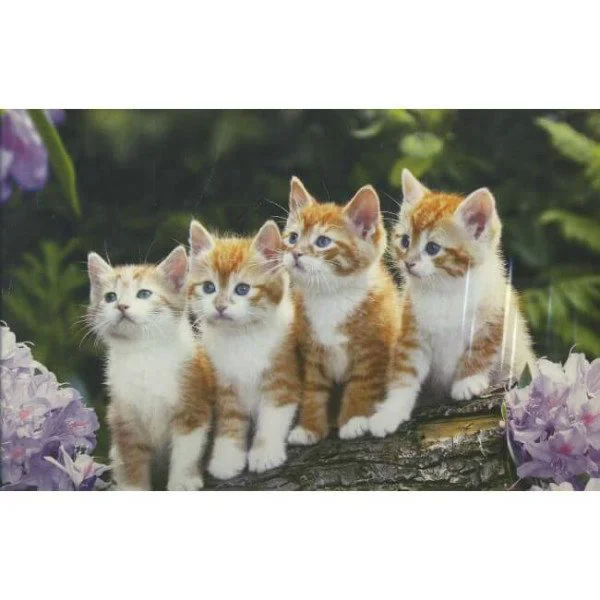 Puzzle Castorland The Cat Crew, 1000 piese foto
