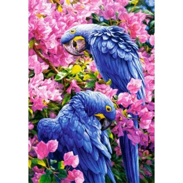 Puzzle Castorland Blue Parrots, 1000 piese foto