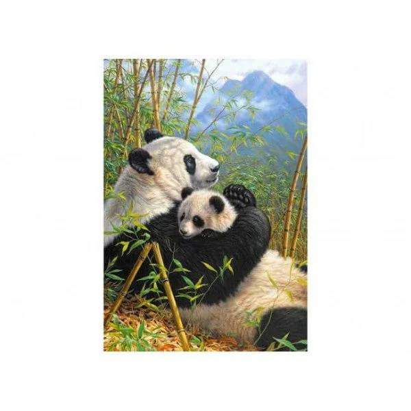 Puzzle Castorland A New Dynasty, 1000 piese foto