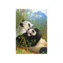 Puzzle Castorland A New Dynasty, 1000 piese foto