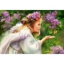 Puzzle Castorland Butterfly Angel, 1000 piese foto