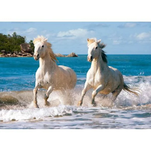 Puzzle Castorland White Camargue Horses, 1000 piese foto