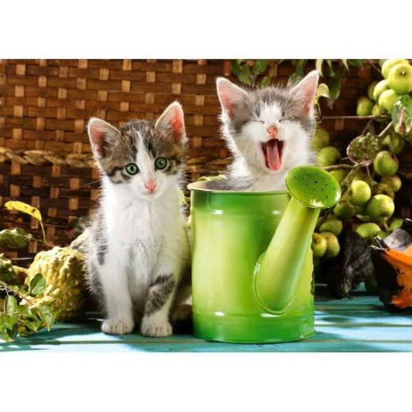 Puzzle Castorland Little Gardeners, 1000 piese foto