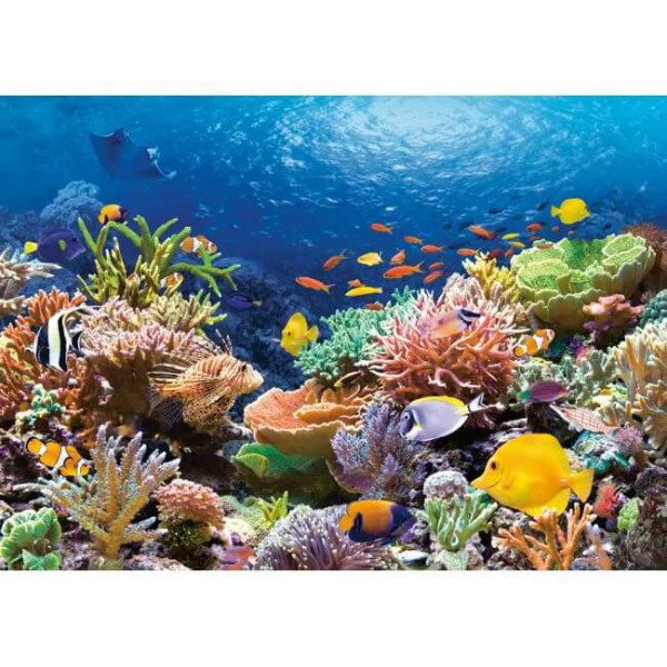 Puzzle Castorland Coral Reef Fishes, 1000 piese foto
