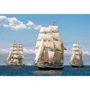 Puzzle Castorland Race Start, 1000 piese foto
