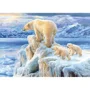 Puzzle Castorland Arctic Kingdom, 1000 piese foto