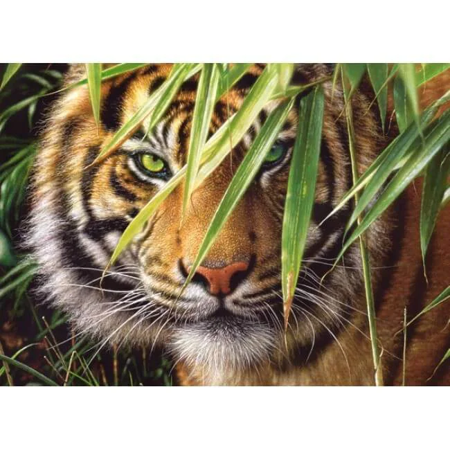 Puzzle Castorland Emerald Forest, 260 piese foto