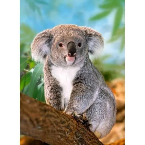 Puzzle Castorland Koala, 260 piese foto