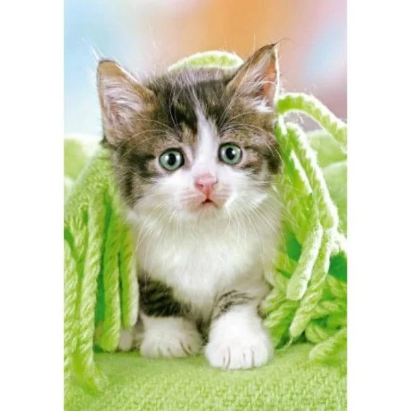Puzzle Castorland Kitten under the Blanket, 260 piese foto