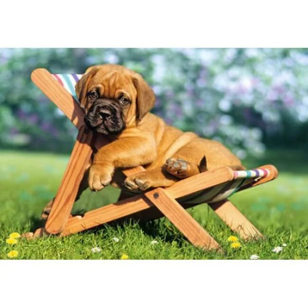 Puzzle Castorland Puppy on Deckchair, 260 piese foto