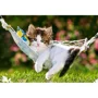 Puzzle Castorland Kitten on hammock, 260 piese foto