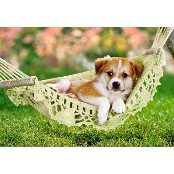 Puzzle Castorland Relax in the Garden, 260 piese foto