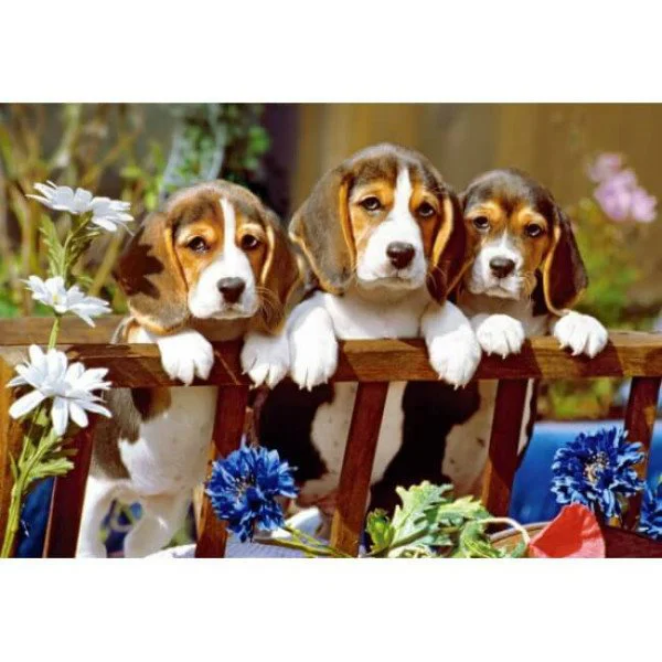 Puzzle Castorland Three Little Pals, 260 piese foto