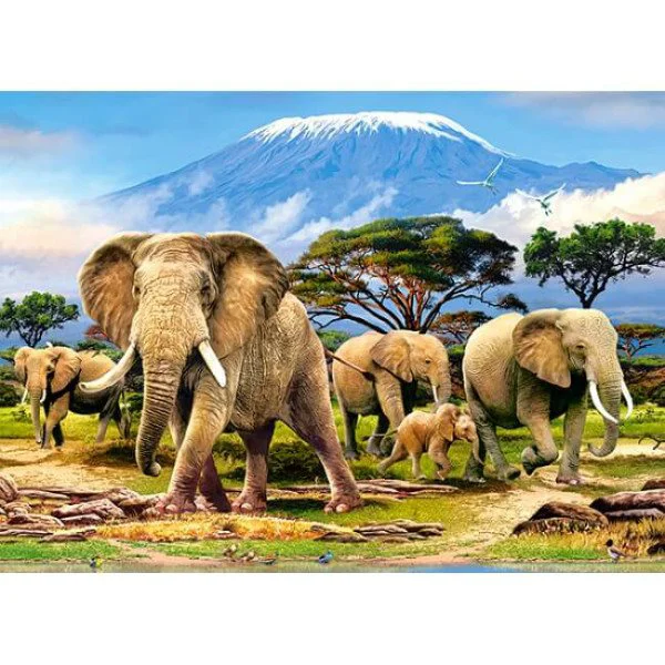 Puzzle Castorland Kilimanjaro Morning, 300 piese foto