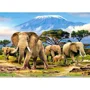 Puzzle Castorland Kilimanjaro Morning, 300 piese foto