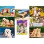 Puzzle Castorland Animals, 120 MINI piese foto
