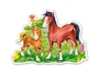 Puzzle Castorland A Little Beautiful Foal, 15 MIDI piese foto
