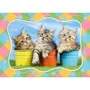 Puzzle Castorland Siberian Kittens in Flowerpots, 60 MIDI piese foto