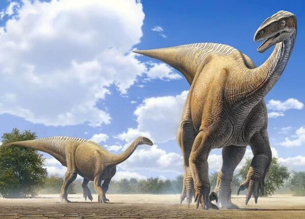 Puzzle Castorland Plateosaurus Desierto, 120 MIDI piese foto