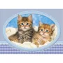 Puzzle Castorland Kittens Curling up on a Blanket, 120 MIDI piese foto