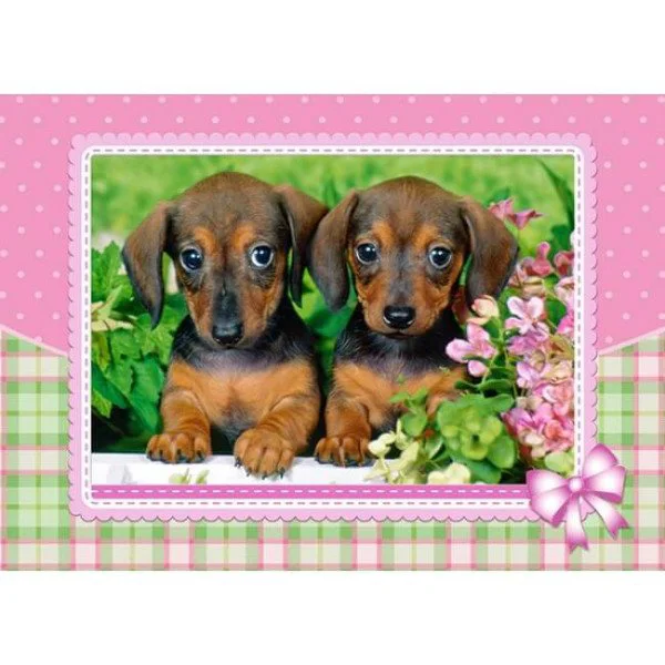 Puzzle Castorland Dachshund Puppies, 120 MIDI piese foto
