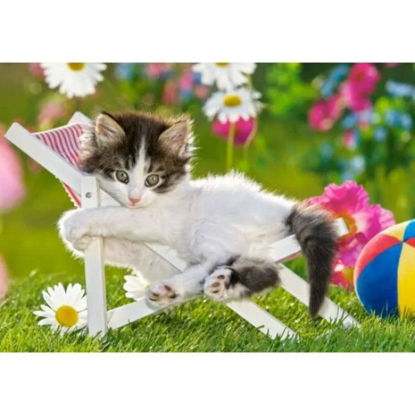Puzzle Castorland Afternoon Siesta, 120 MIDI piese foto