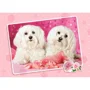 Puzzle Castorland Two Doggies in Pink, 120 MIDI piese foto