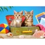 Puzzle Castorland Cat Tourists, 180 MIDI piese foto