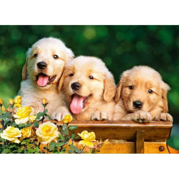 Puzzle Castorland Trei catelusi, 180 MIDI piese foto