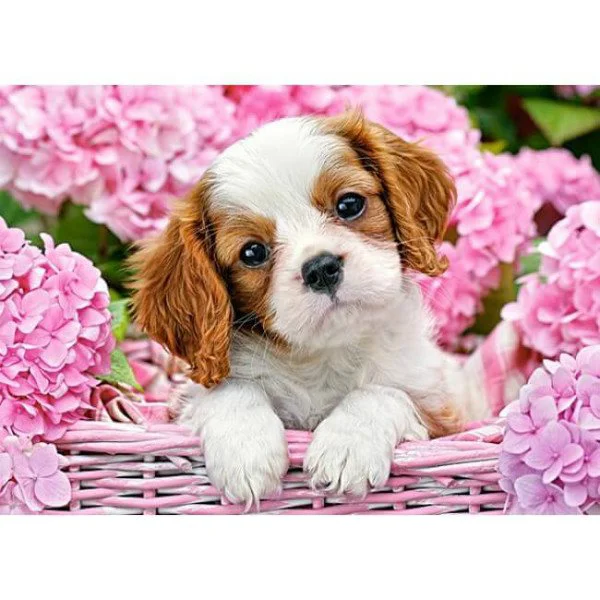 Puzzle Castorland Pup in Punk Flowers, 180 MIDI piese foto