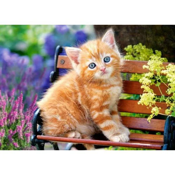 Puzzle Castorland Ginger Kitten, 180 MIDI piese foto