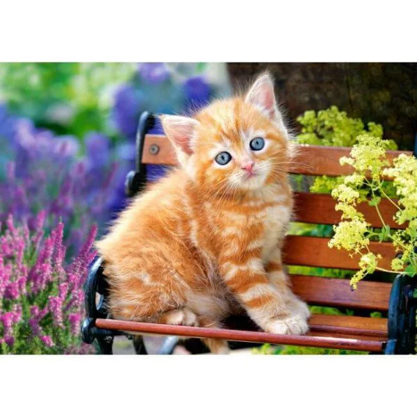 Puzzle Castorland Ginger Kitten, 500 piese foto