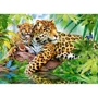 Puzzle Castorland Jaguars by the Pool, 500 piese foto