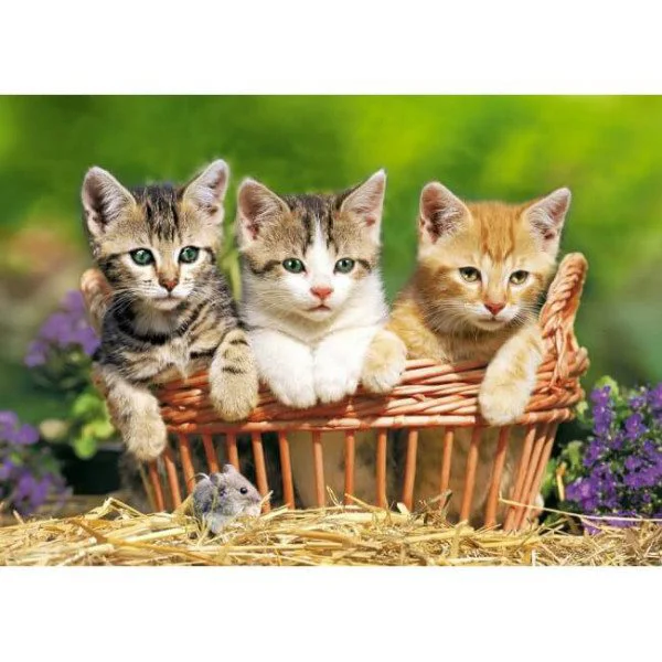 Пазл Касторланд Three Lovely Kittens, 500 эл. foto