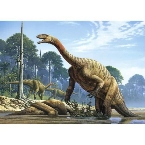 Puzzle Castorland Plateosaurus (Dinosaur), 500 piese foto