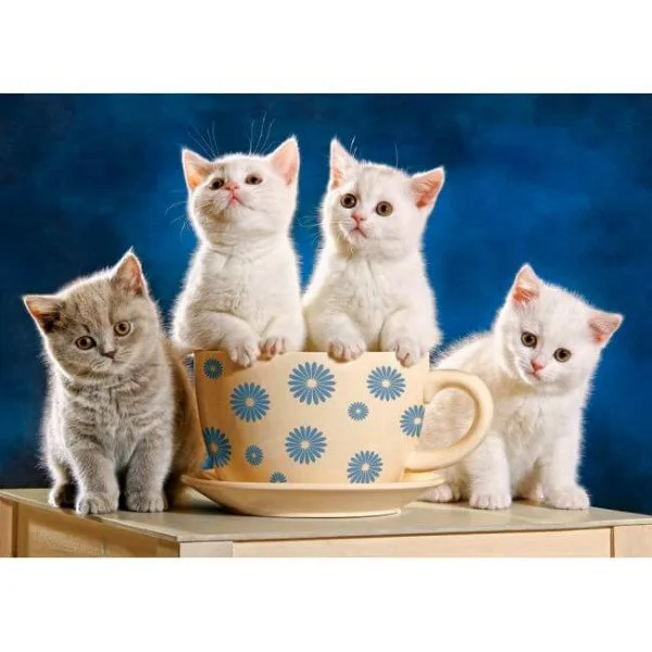 Puzzle Castorland Looking for Milk, 500 piese foto