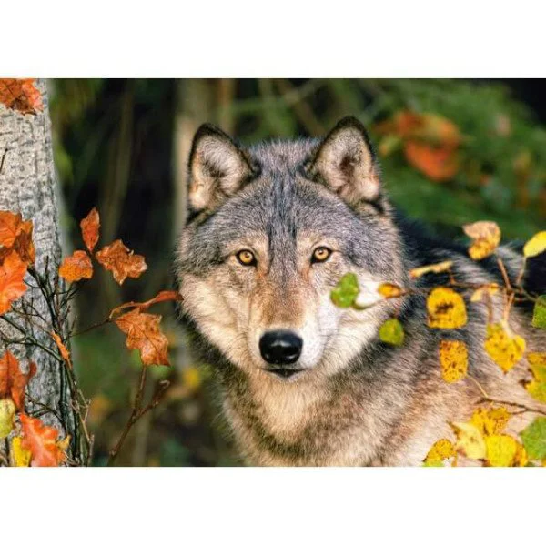 Puzzle Castorland Mysterious Eyes, 500 piese foto