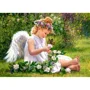 Пазл Касторланд Garden Angel, 500 эл. foto