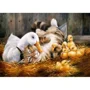 Puzzle Castorland Pals, 500 piese foto
